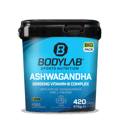 BIG PACK Ashwagandha Ginseng Vitamin-B Complex