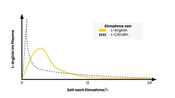 Citrullin vs Arginin Wirkung.png