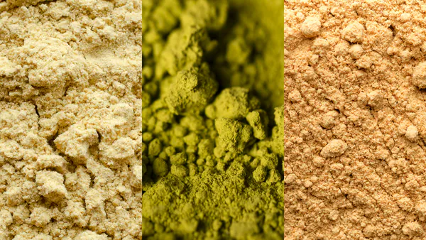 Plfanzliche Proteine.png