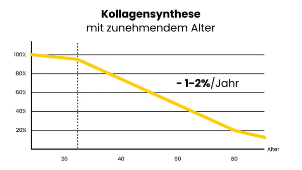 Kollagensynthese im Alter.png