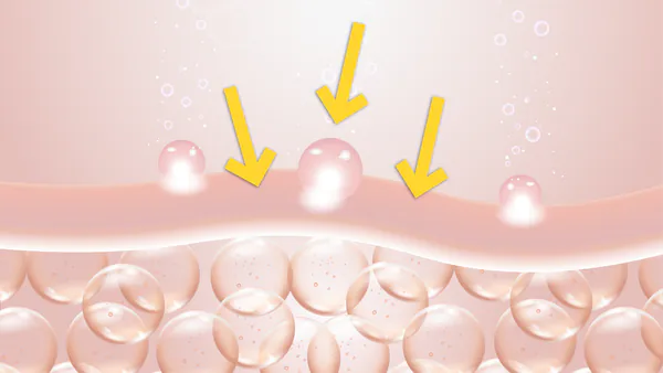 Kollagen Hautbarriere.png