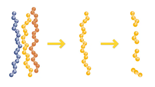 Kollagen Hydrolyse.png